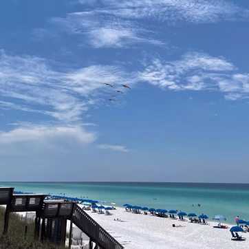 Why Should I Hire a Designer to Manage My Project?